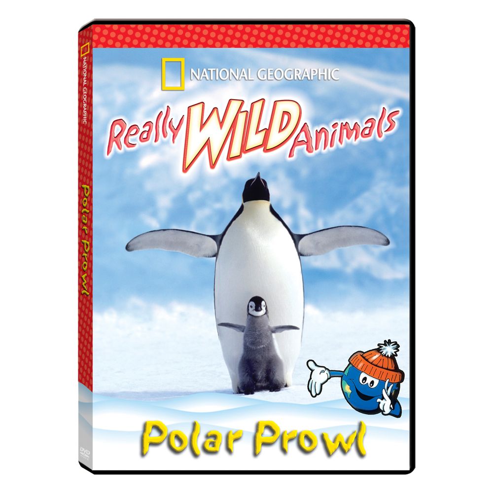 Really Wild Animals: Polar Prowl DVD - National Geographic Store