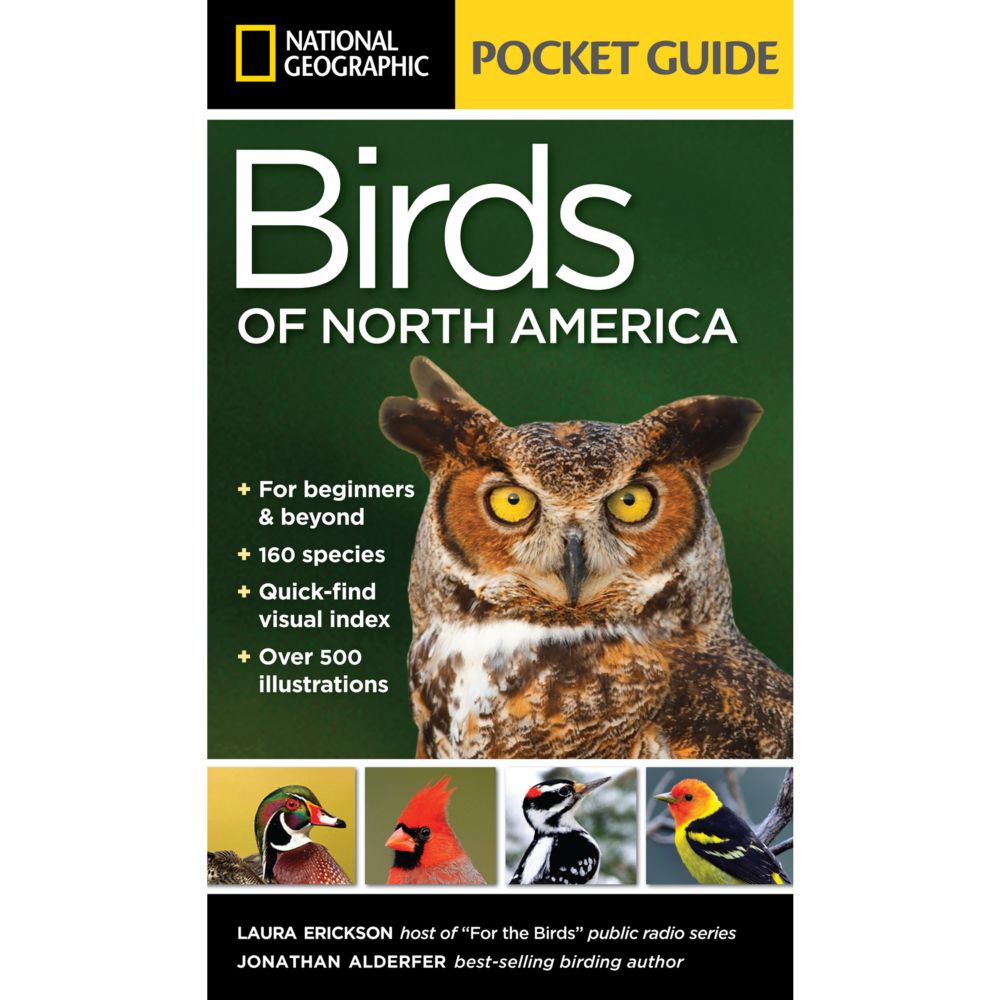 National Geographic Pocket Guide to the Birds of North America by Laura  Erickson, Jonathan Alderfer, Paperback