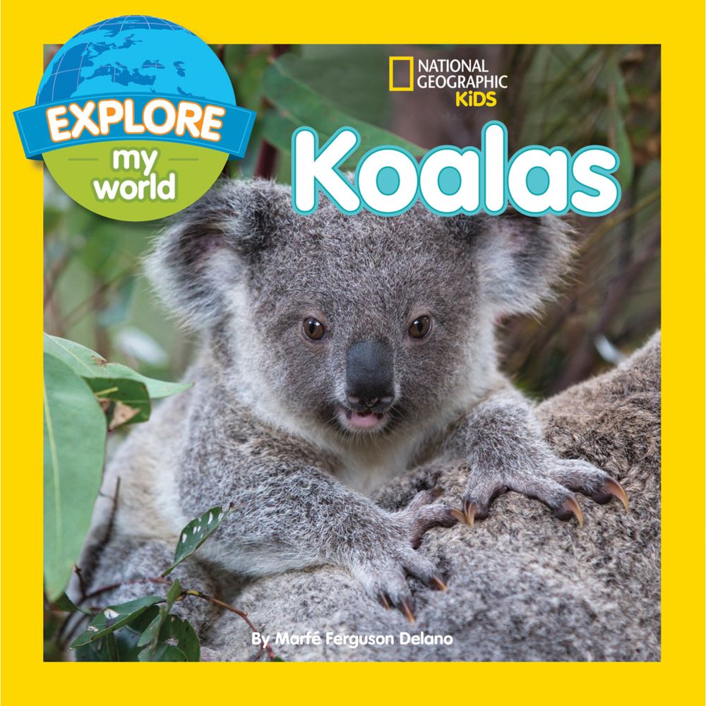 Explore My World Koalas National Geographic Store 2988