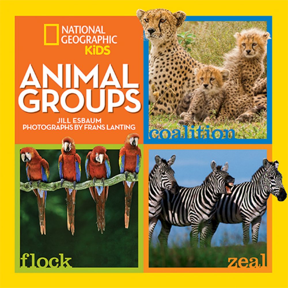 picture of animals nat geo wild kids - DriverLayer Search Engine