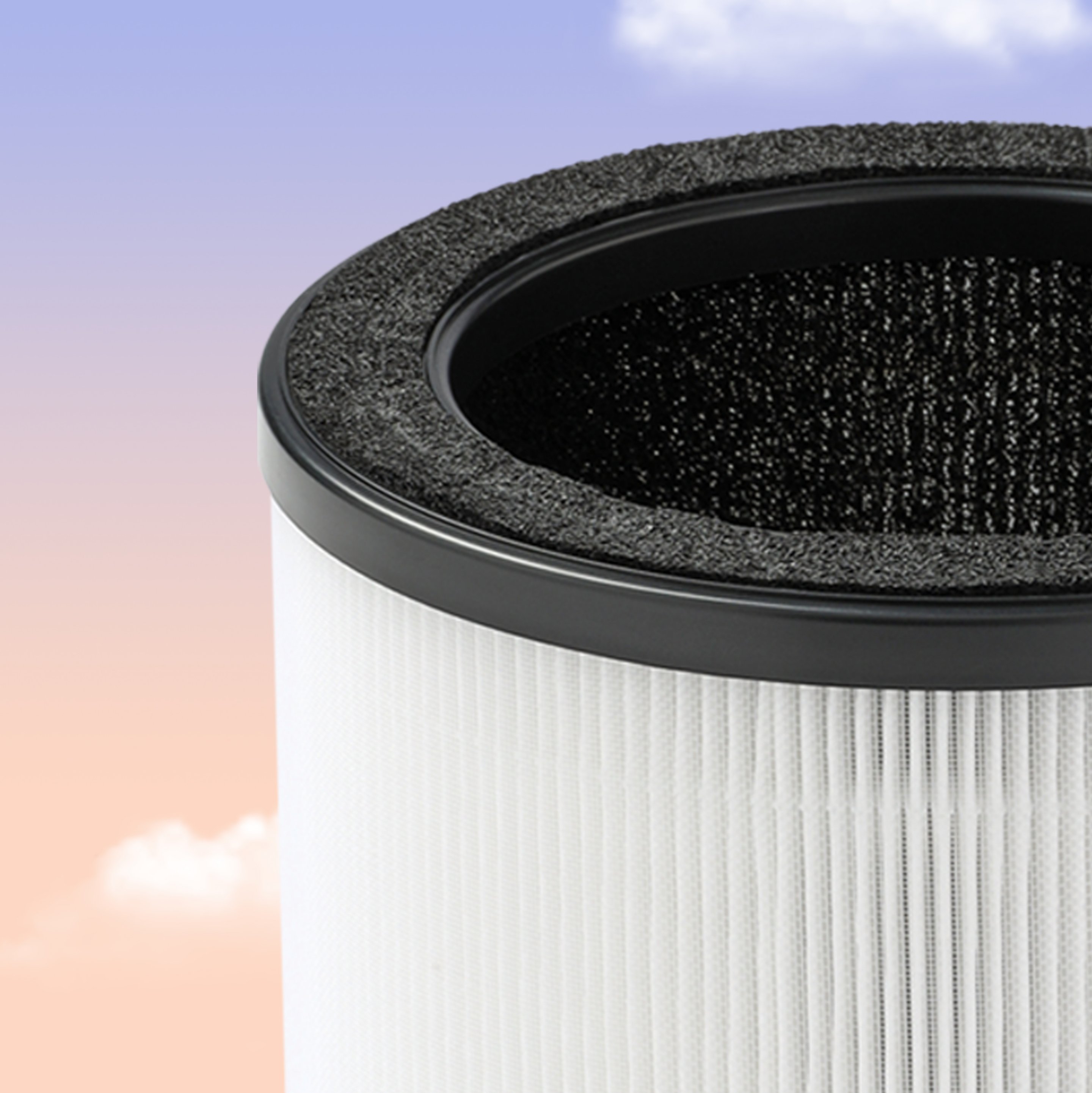 Bionaire filter shop 182550