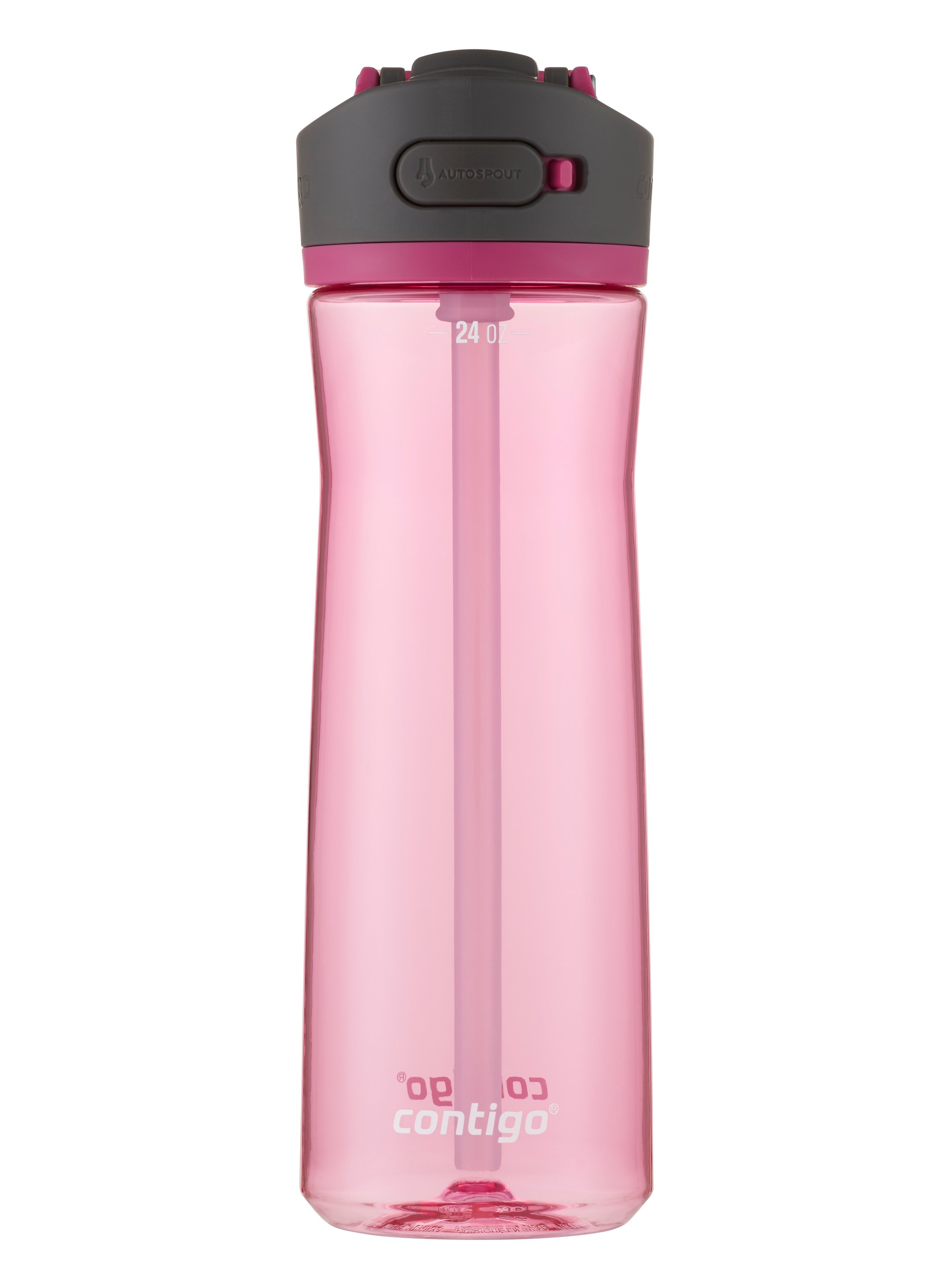 Contigo Autospout Ashland Water Bottle