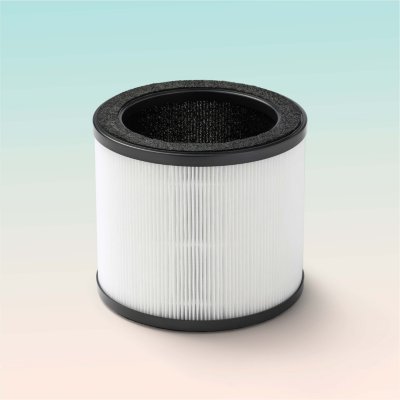 Bionaire Purificateur d'air à deux positions avec filtre HEPA Allergy