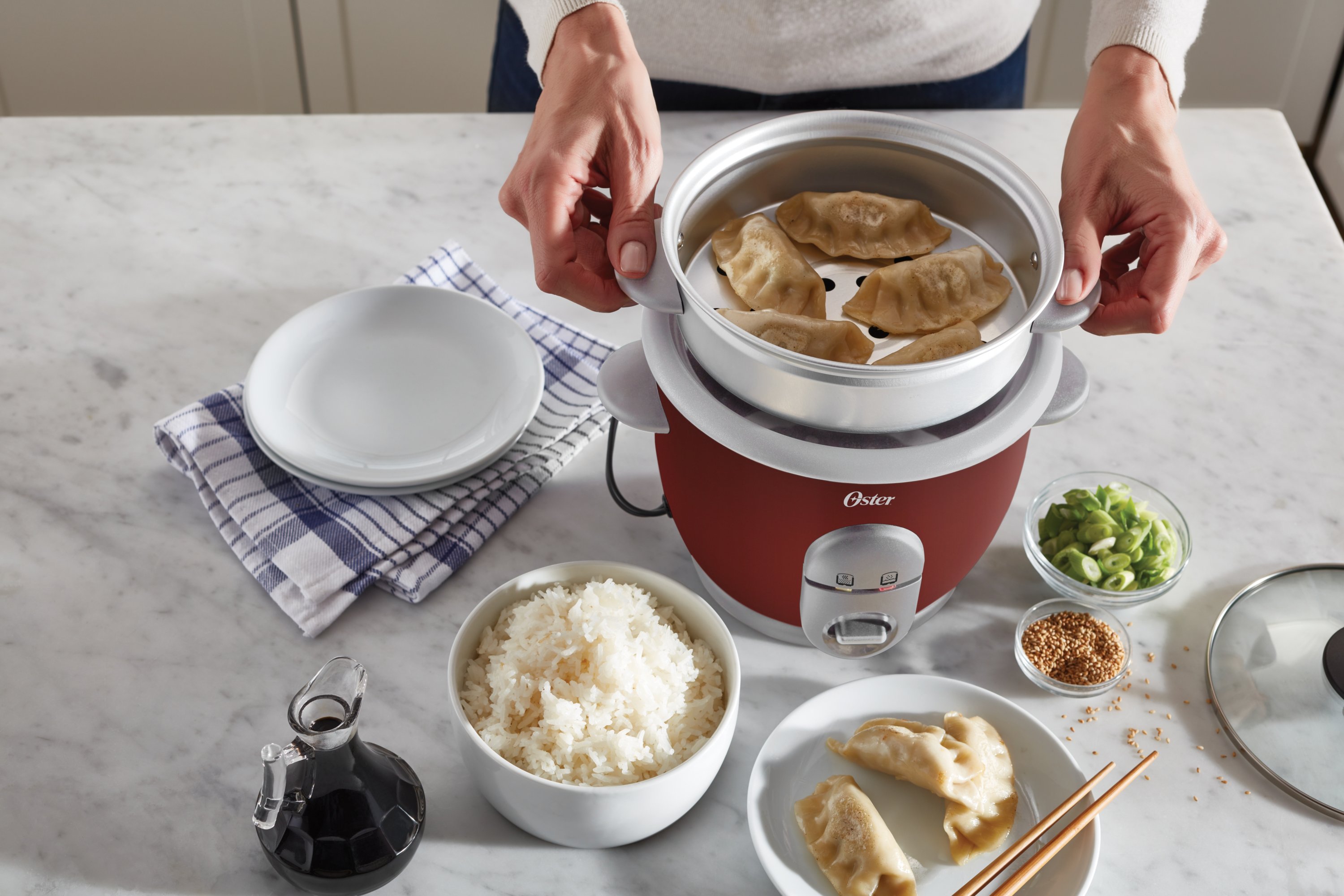  Oster 6-Cup Rice Cooker with Steamer, Red (004722-000-000):  Home & Kitchen