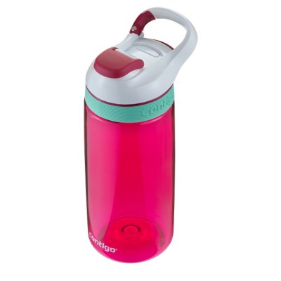 Contigo store autoseal courtney