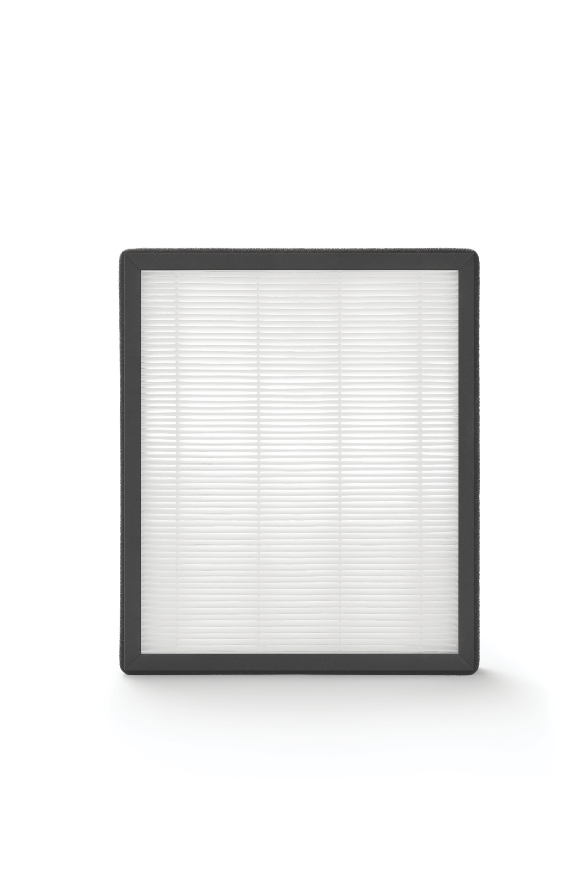 Holmes hapf21 2025 air purifier filter