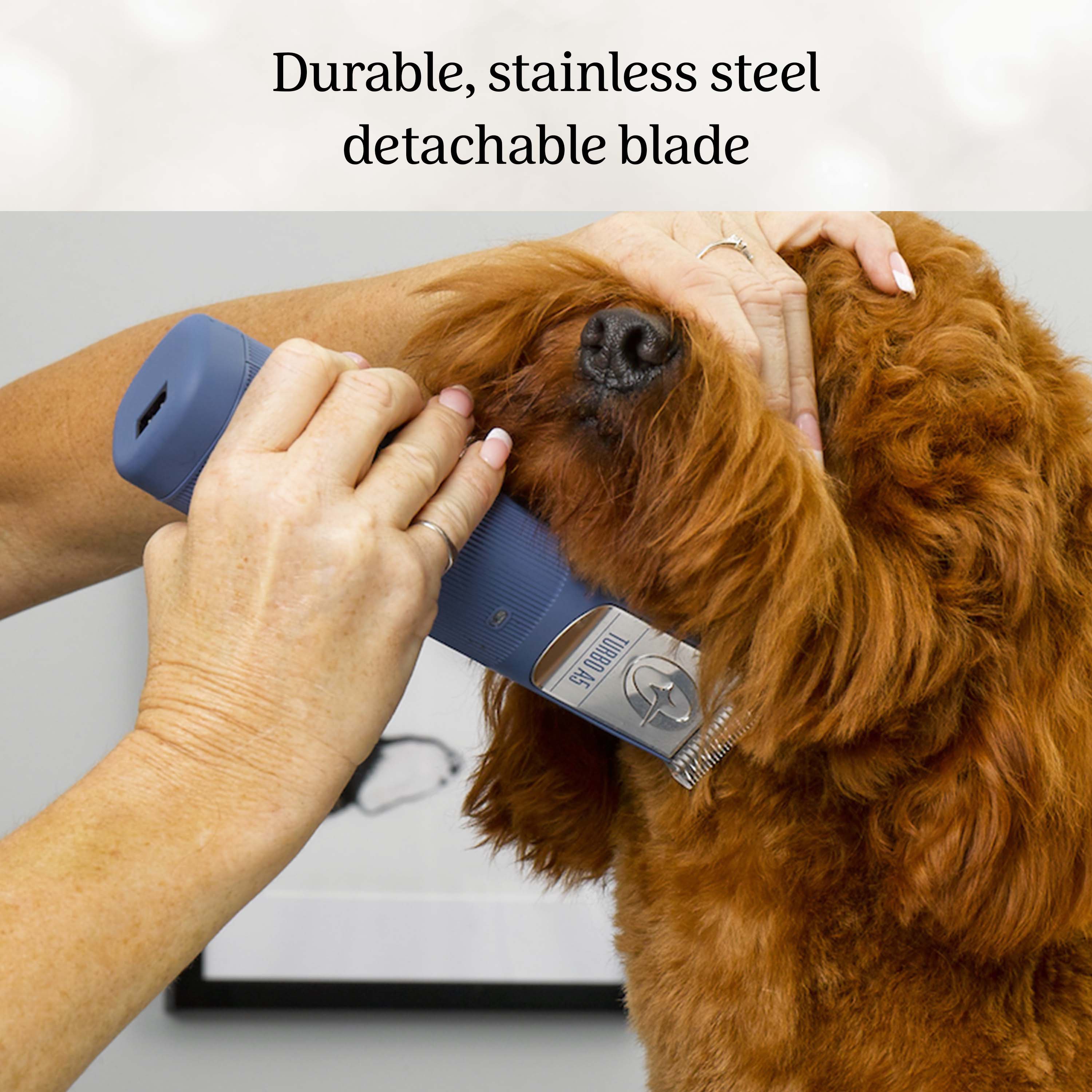 Cordless dog clippers with hotsell detachable blades