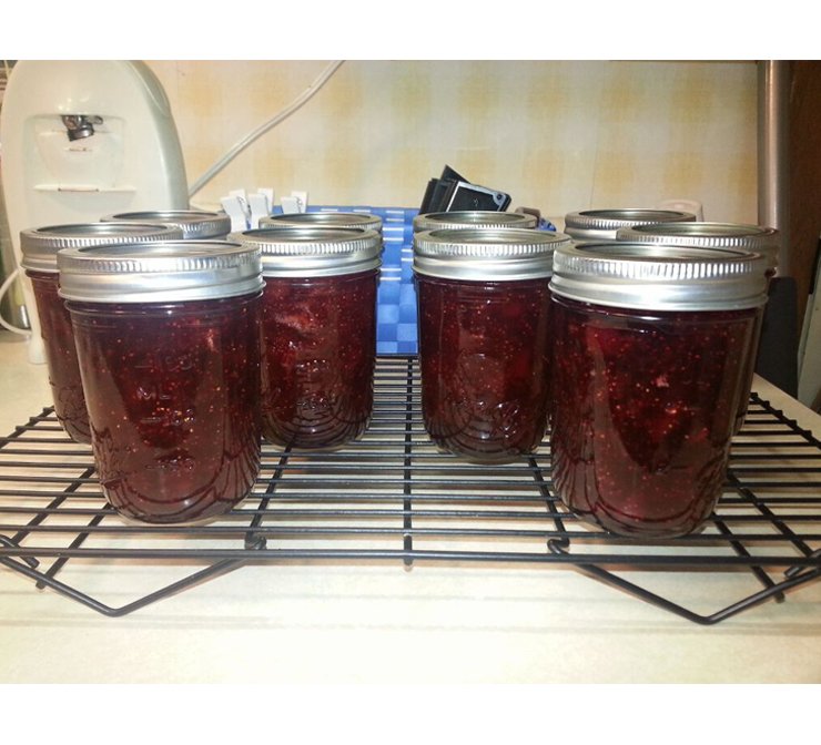 Jams, Jellies, Marmalades Canning Recipes Ball® & Kerr® Fresh Preserving