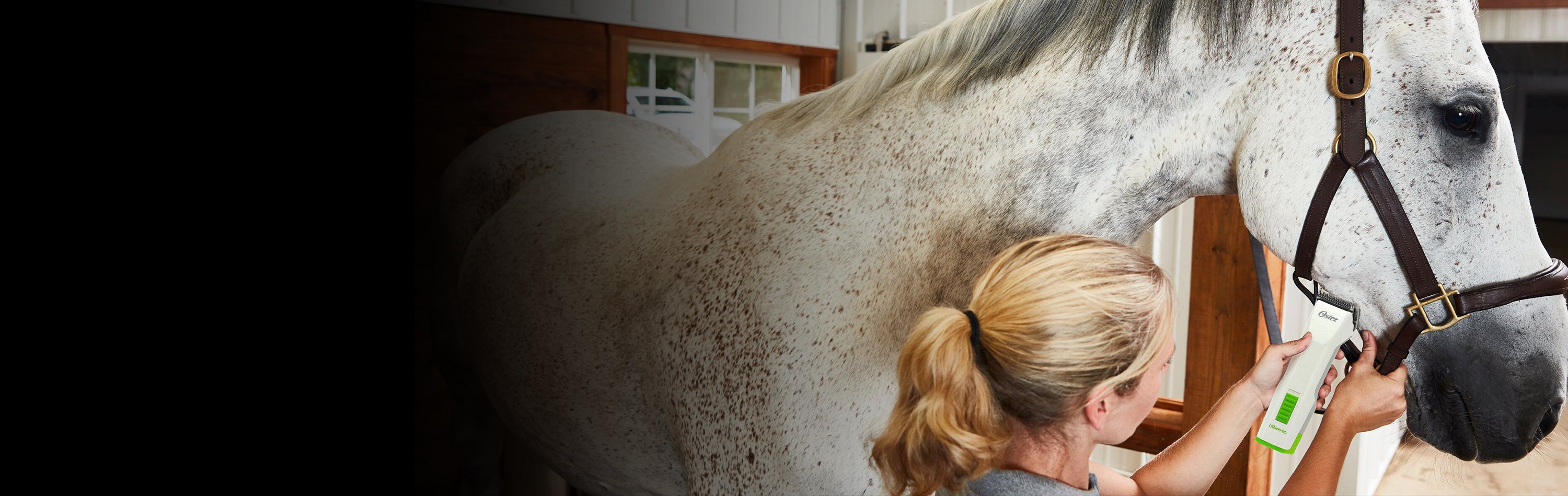 horse grooming trimmer in use