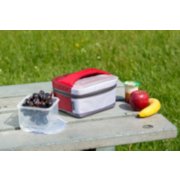 softer cooler zipped close with plastic container at picnic table image number 3