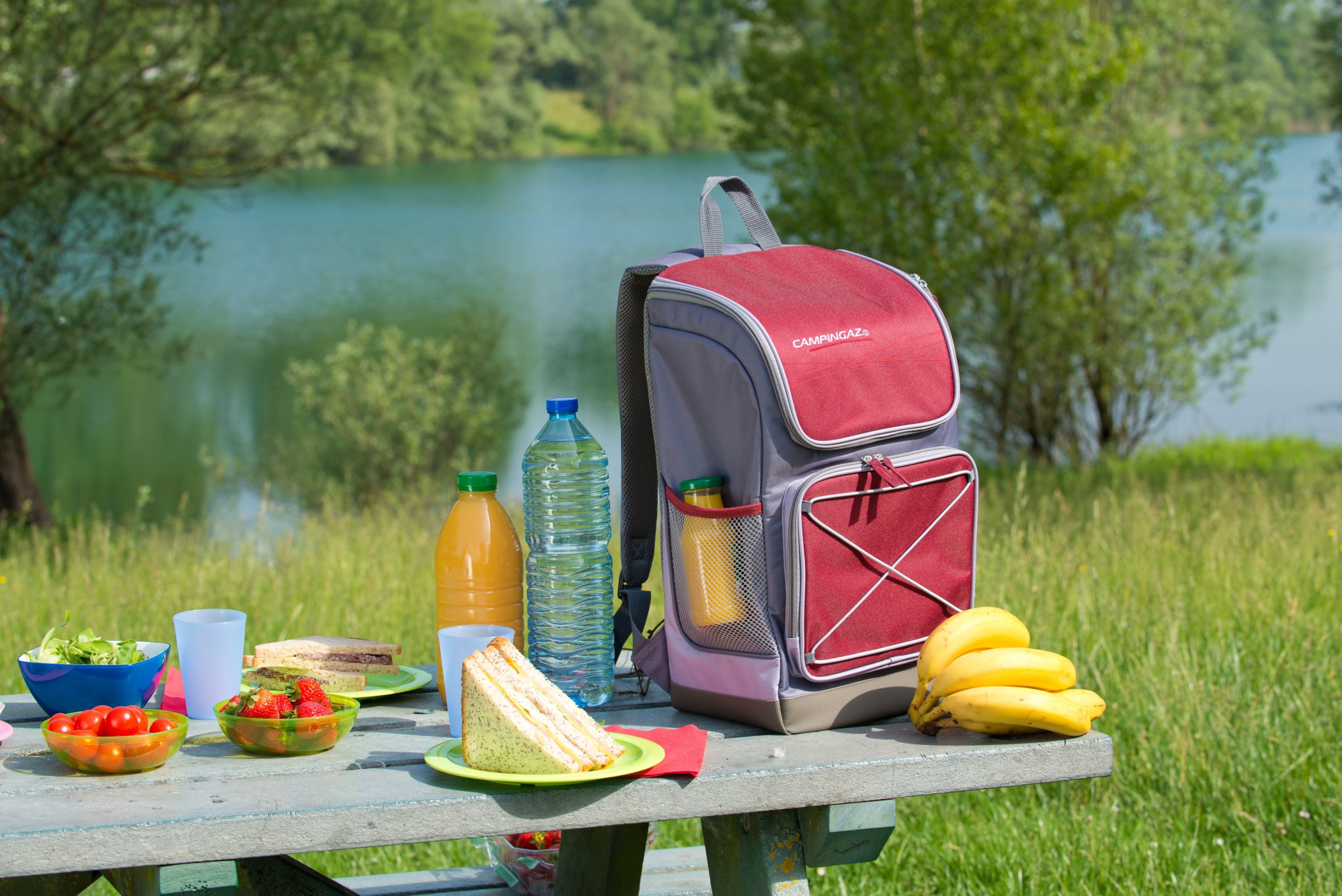 CAMPINGAZ URBAN LUNCH BAG BORSA TERMICA 5 LITRI PRANZO PICNIC