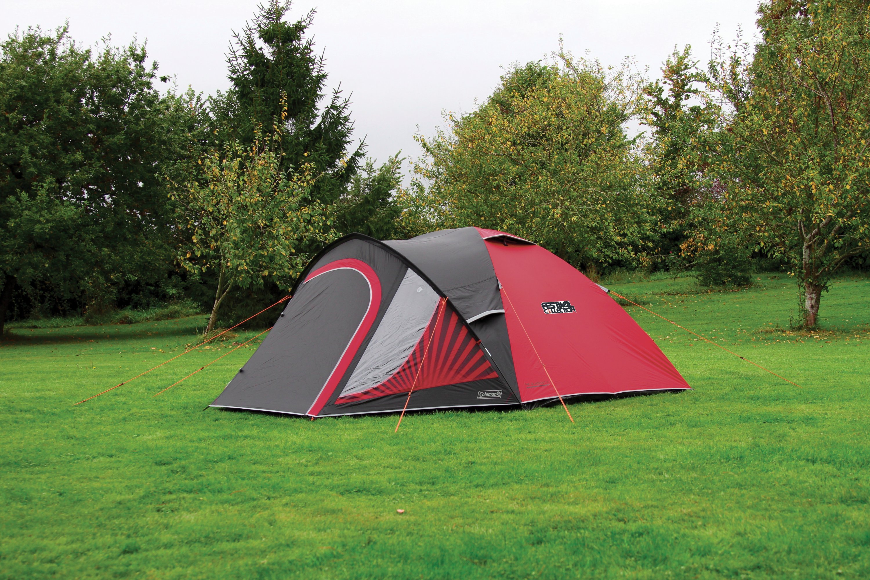 Coleman festival clearance blackout 4 tent