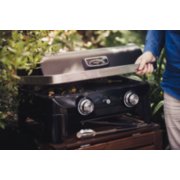 Grilling with 2 burner portable grill image number 8