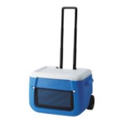Wheeled hard cooler with extended handle image number 1