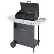 expert series barbecue grill front side angle image number 1