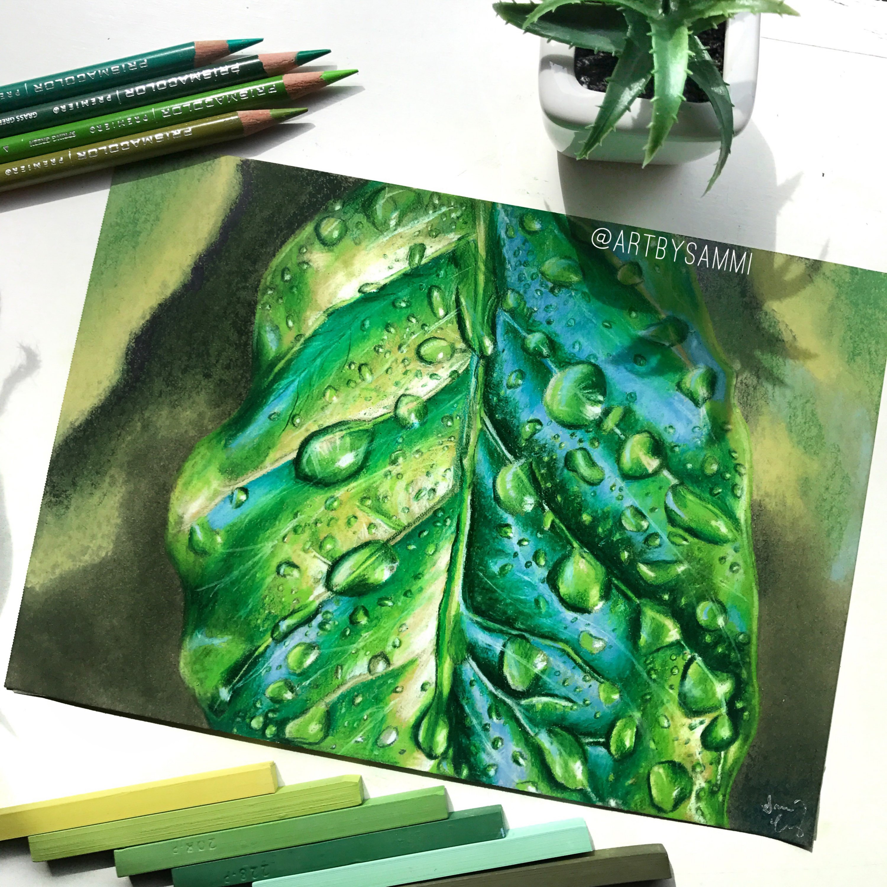 How to Use Colored Pencils for Details in an Acrylic Painting