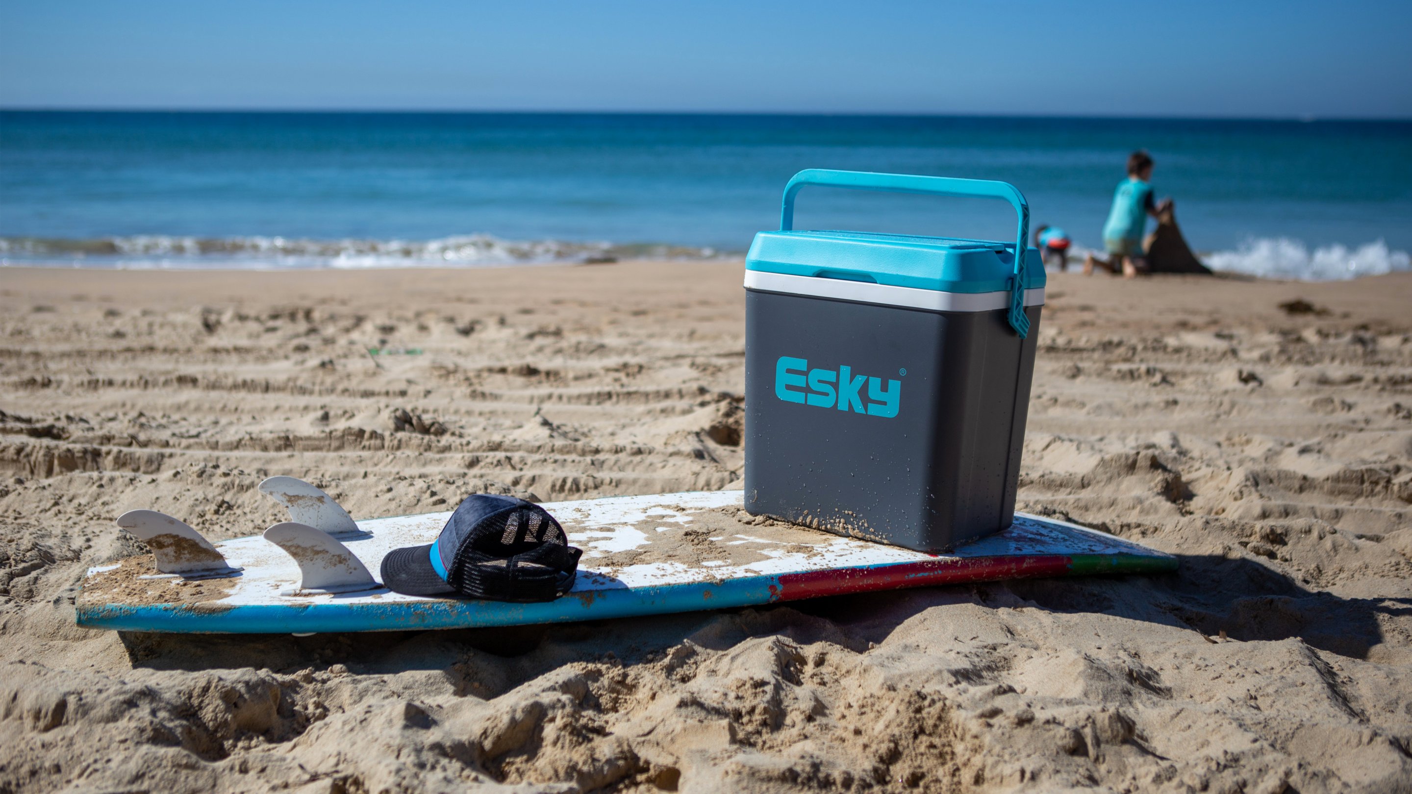 Metal esky hot sale cooler