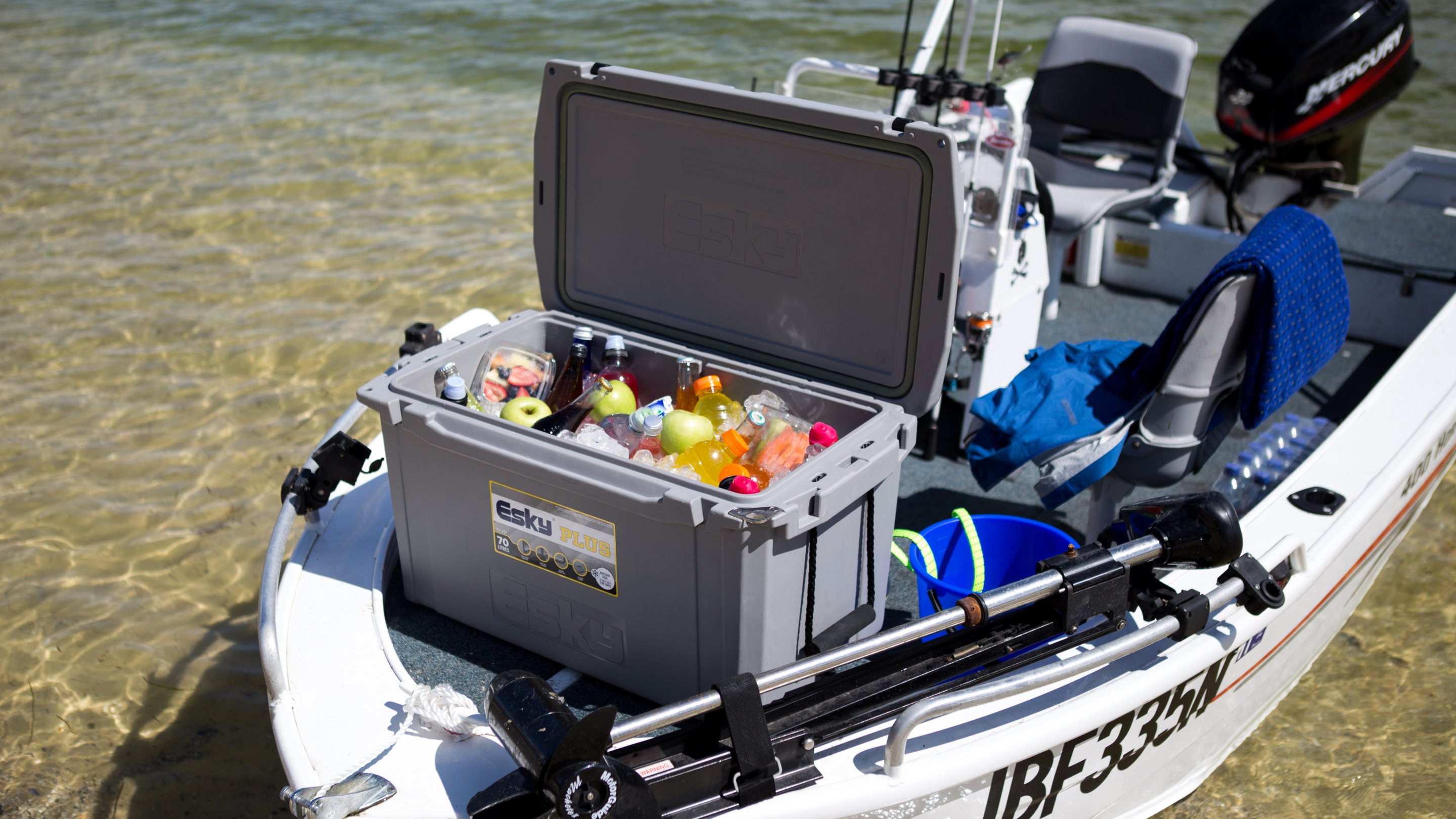Esky Coolers Ice Boxes and Ice Packs Esky