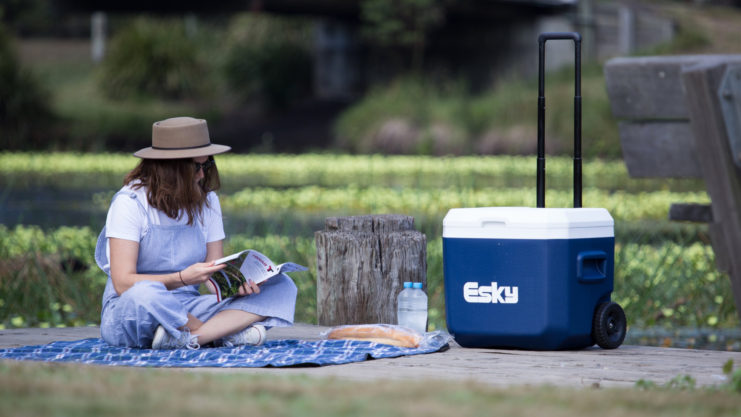 Esky arctic pro voyager best sale soft cooler