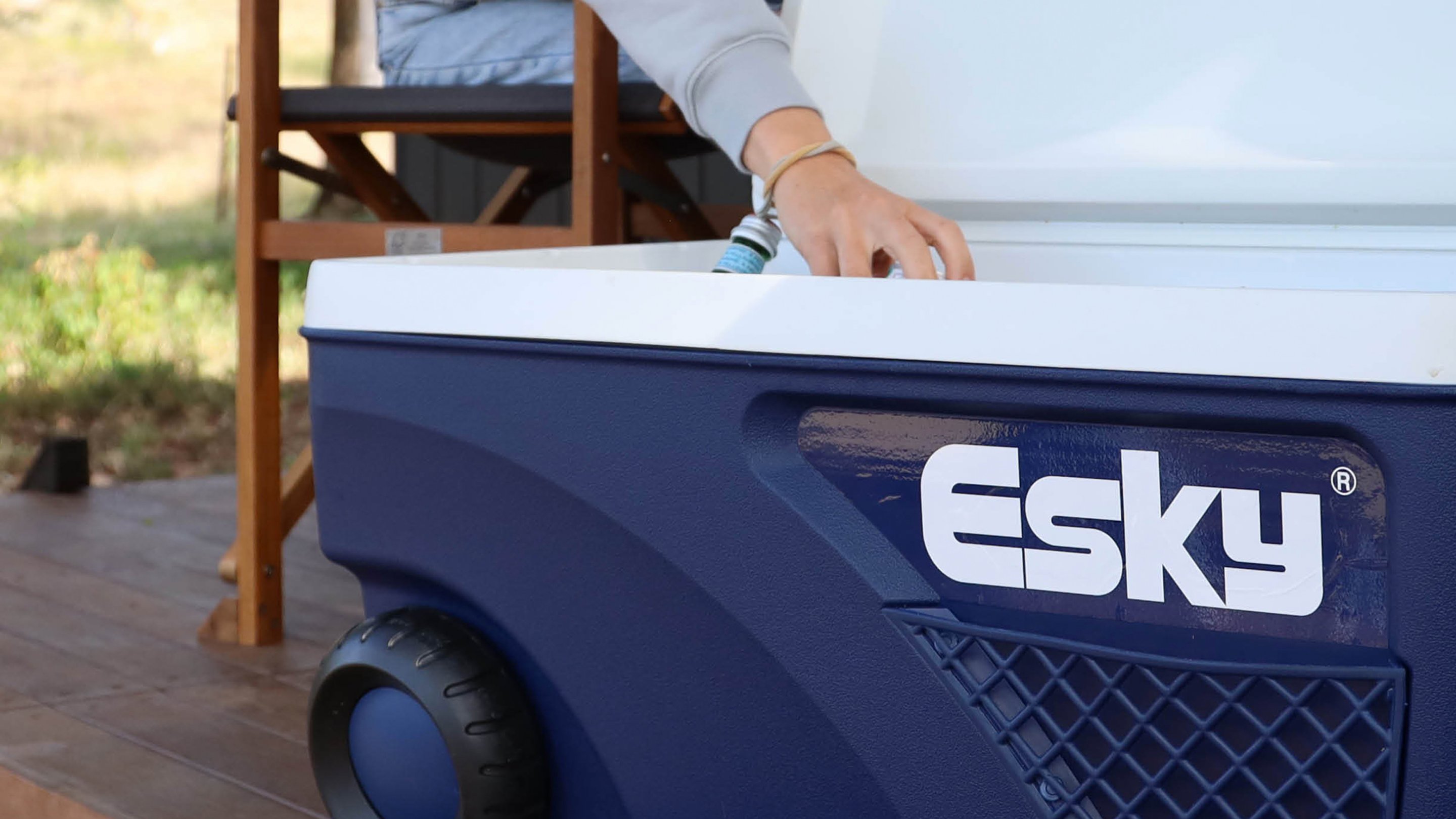 Esky box best sale