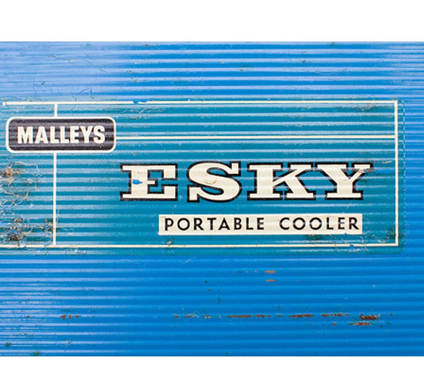 Malleys esky hot sale portable cooler