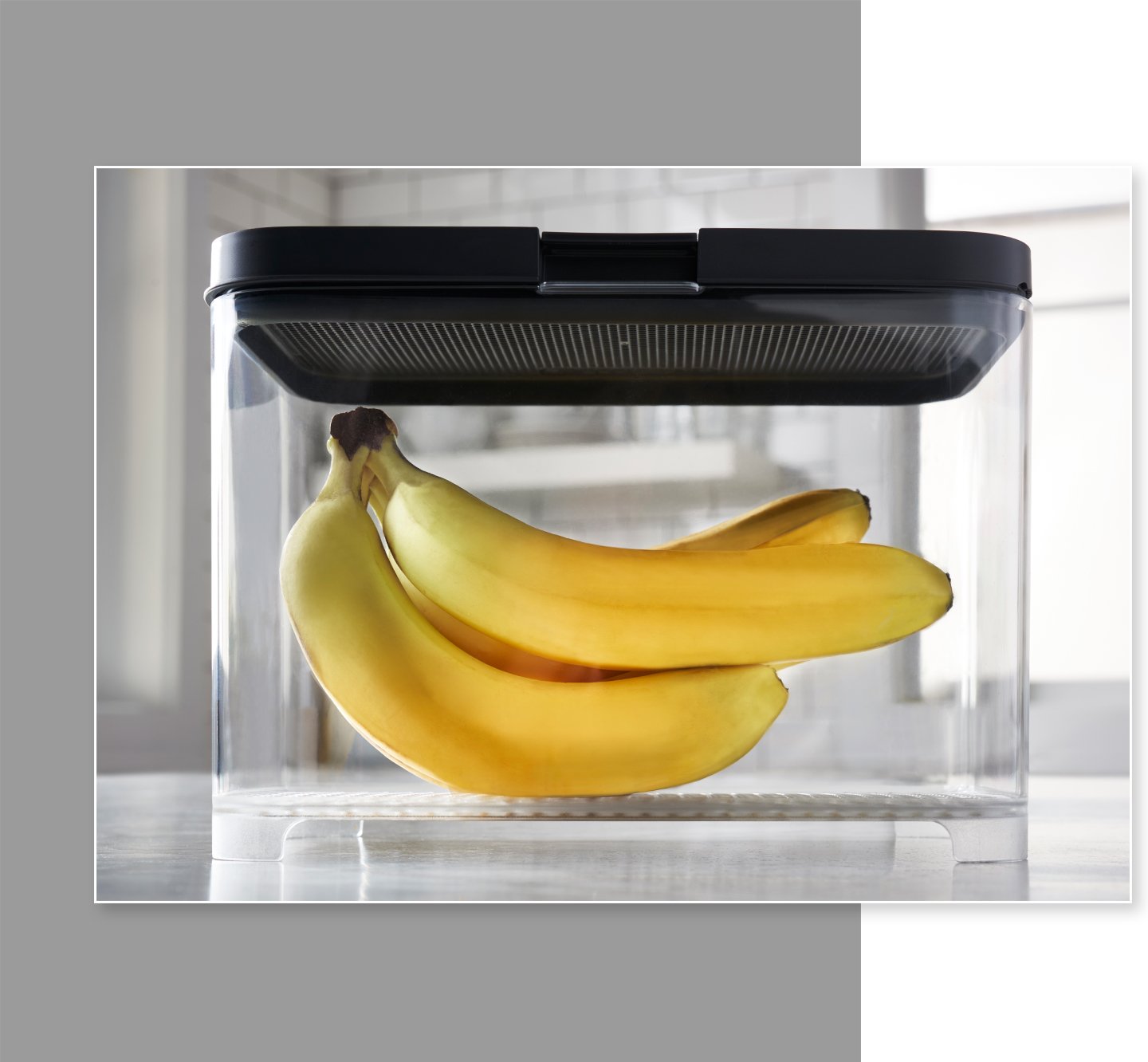 Freshworks™ Food Storage Countertop Containers Rubbermaid