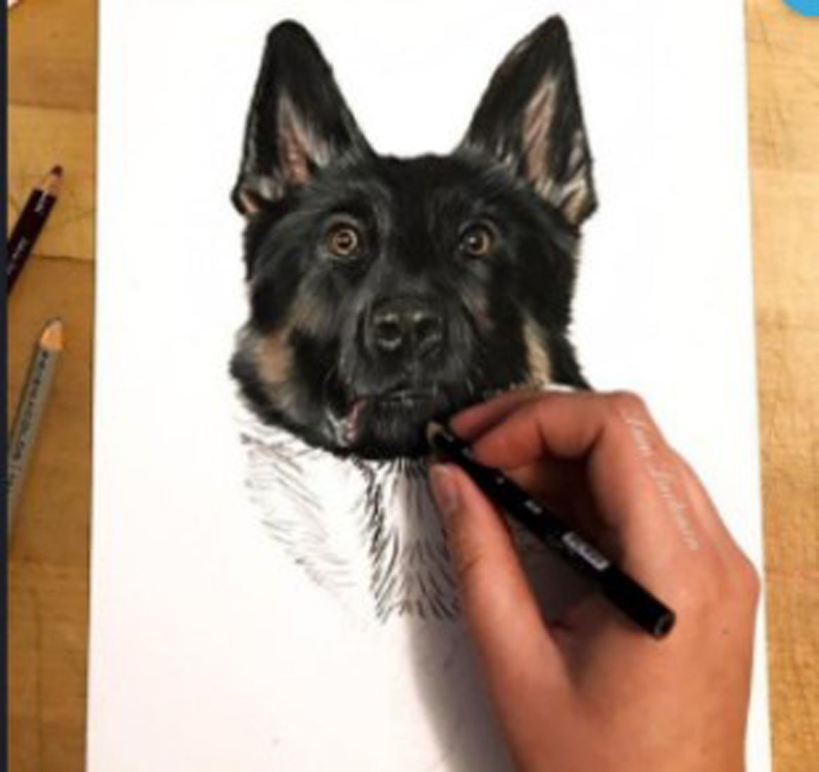 step by step drawing realistic animals