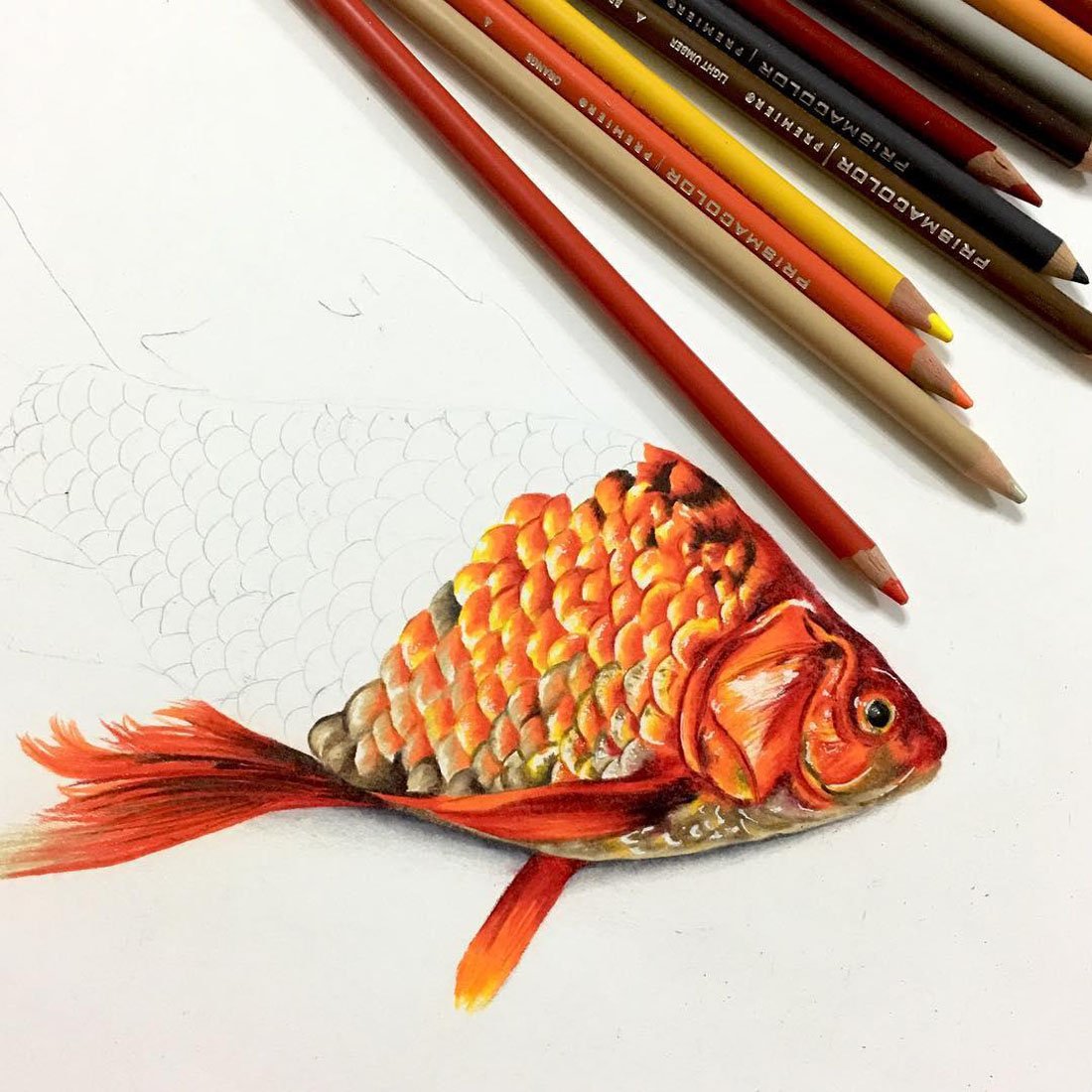 Drawing Tips: How to Blend Colored Pencils