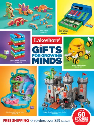 Lakeshore Catalogs Correlations Lakeshore Learning   GGM 2020 1