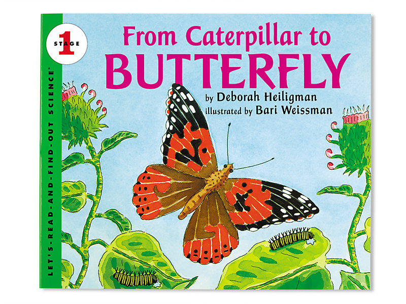 From Caterpillar To Butterfly Big Book At Lakeshore Learning