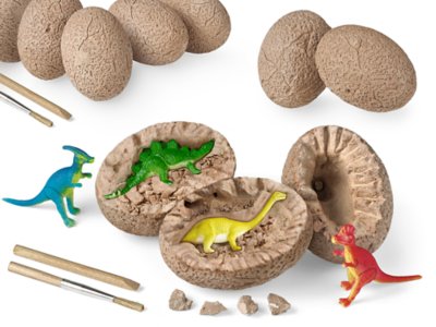 children's paleontology kit