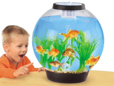 Easy-View Classroom Aquarium at 