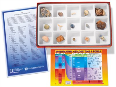 Fossil Collection at Lakeshore Learning