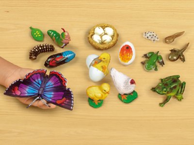 butterfly science kit