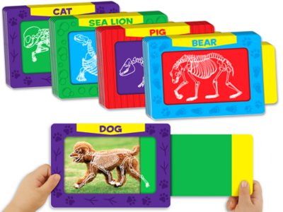 Pull &amp; Reveal Animal Skeleton Cards at Lakeshore Learning