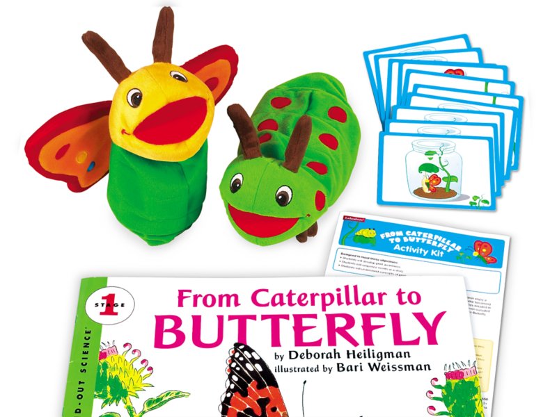 From Caterpillar To Butterfly Big Book Activity Kit - 