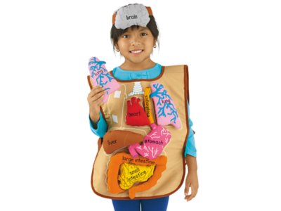 human body apron