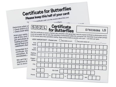 Coupon for 3-5 Extra Caterpillars at Lakeshore Learning