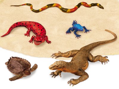 reptiles and amphibians