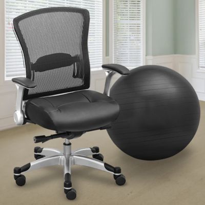 Desk Chair Or Exercise Ball Which One Should You Buy