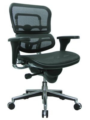 Best Chair For Lumbar Support Ergonomic Back Support Officechairs Com