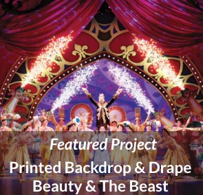 Beauty & The Beast Printed Curtain & Backdrop