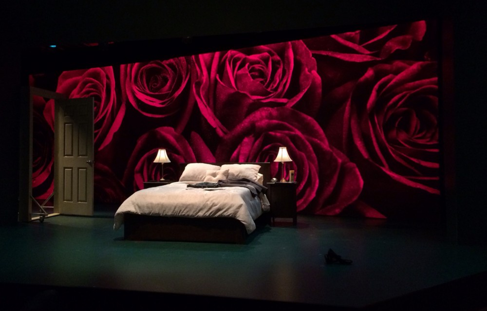 Lightbox Fabric<br>Roses Backdrop
