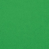 Chroma-Key-Green 128 inches