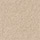 Beige-Tendo 120 10 ft X 10 ft Each