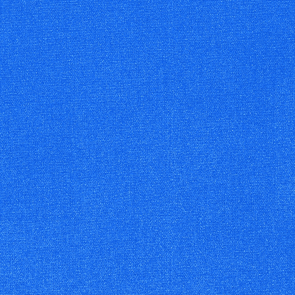 https://s7d9.scene7.com/is/image/RoseBrand/TPG-ElecBlue?$swatchcolor$