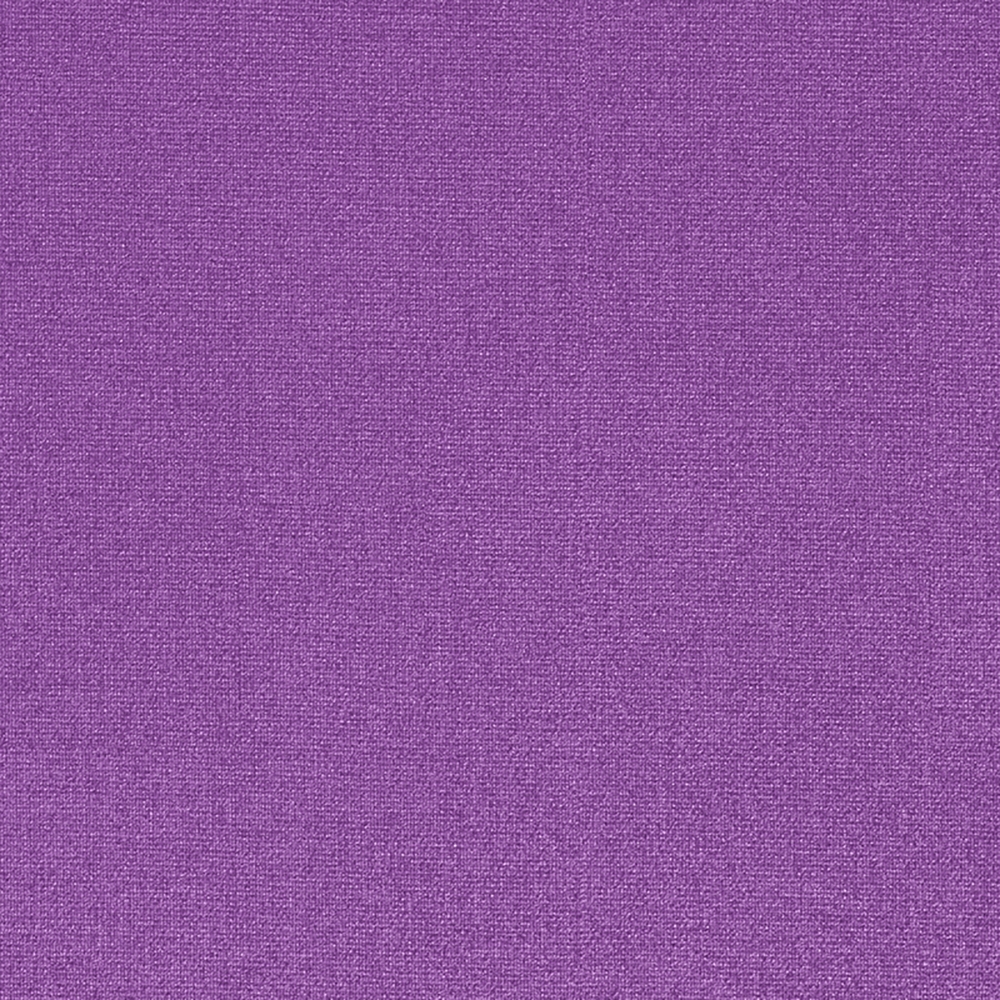 https://s7d9.scene7.com/is/image/RoseBrand/TPG-Purple?$swatchcolor$