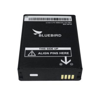 Bluebird Batteries 601010012