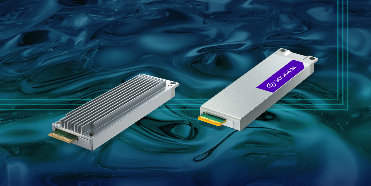 Solidigm D7-PS1010 E1.S 