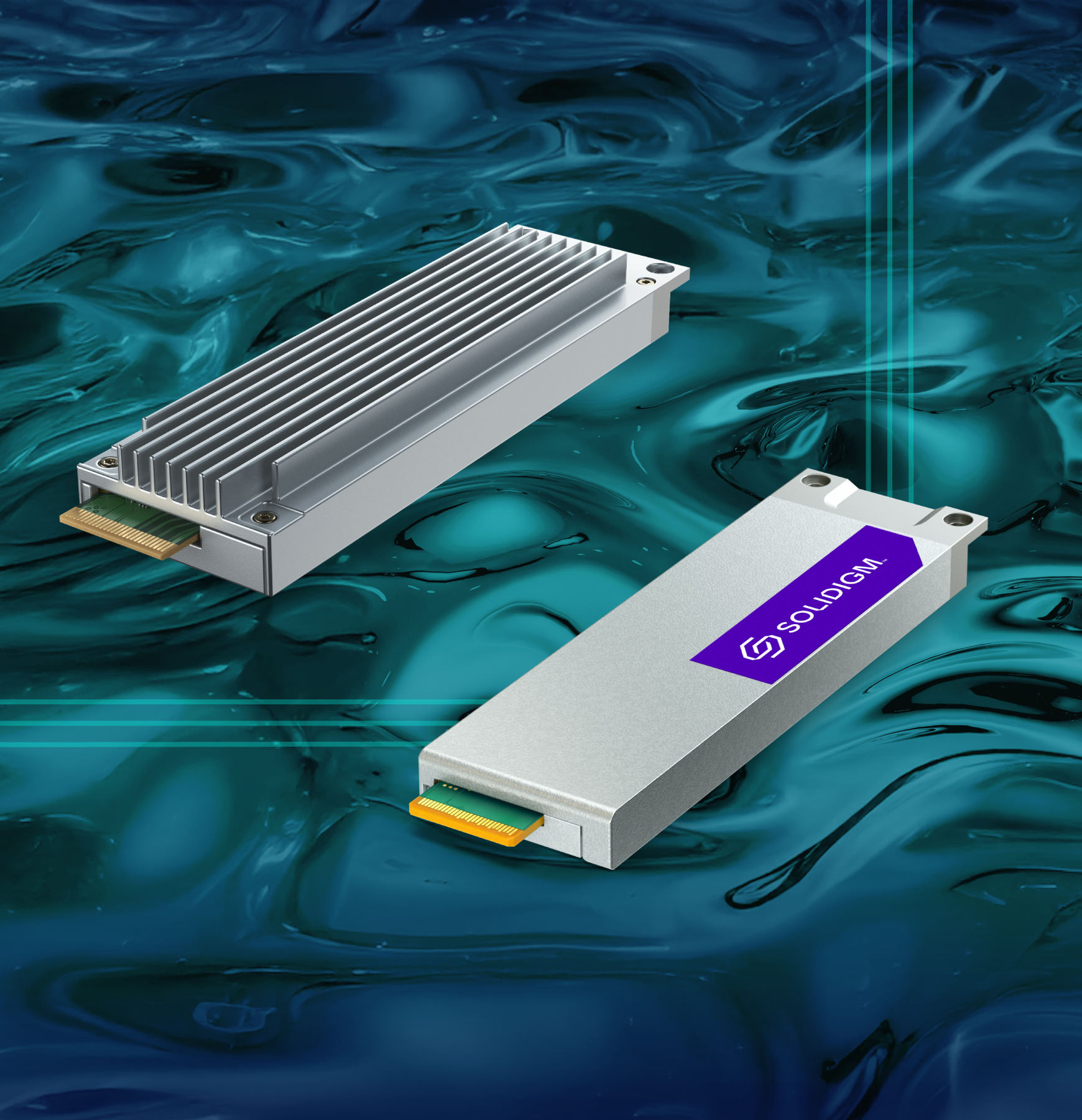 Solidigm D7-PS1010 E1.S 